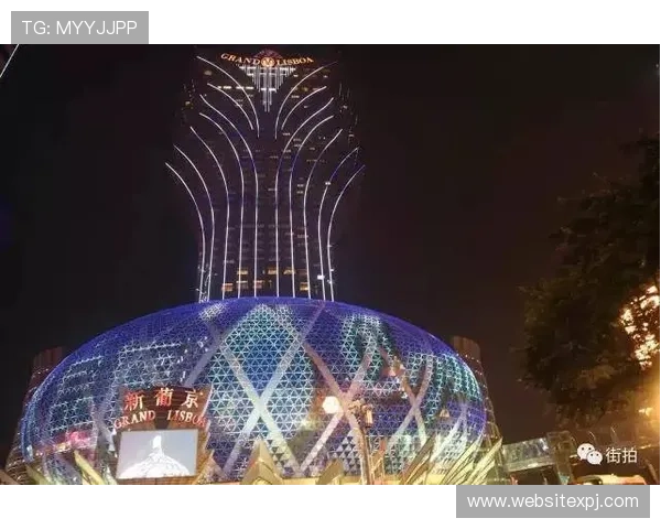 澳门新葡京在线登录操作指南，详细步骤帮助新手快速上手畅玩无限精彩