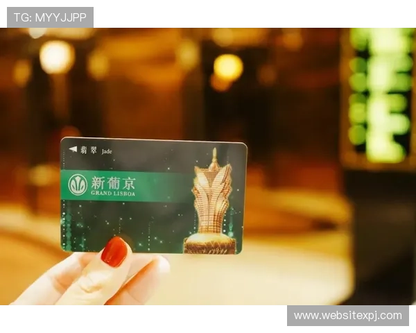 澳门新葡京旗舰厅官方地址详细介绍，帮助玩家快速找到官方入口避免误入陷阱