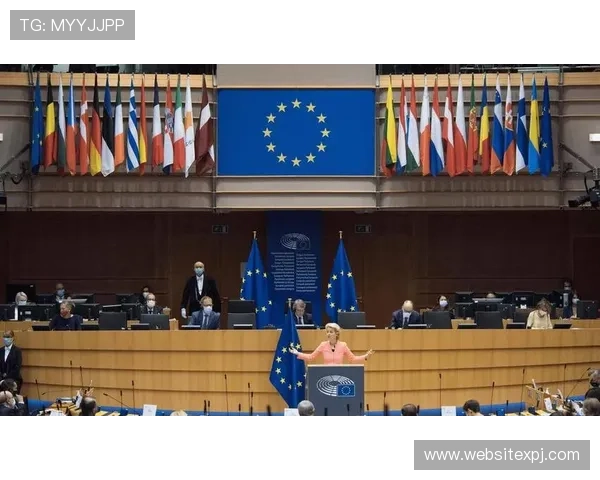 新普京官方首页全面展示普京的政策方针与国家战略布局