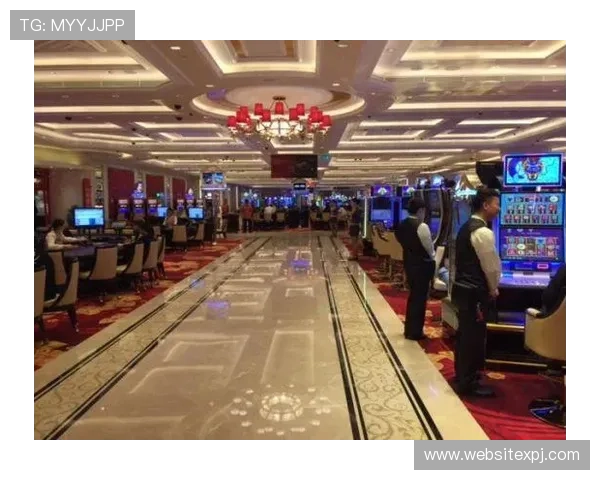 澳门新普京娱乐游戏多样化,满足不同玩家的娱乐需求与体验 澳门新普京娱乐游戏多样化,满足不同玩家的娱乐需求与体验