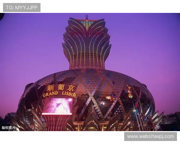 澳门新葡京真人国际：如何享受高品质的真人娱乐体验与专业客服支持