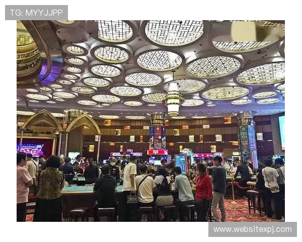 新葡京娱乐场官网最新优惠活动与丰富游戏内容全面介绍