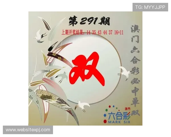 澳门彩官方手机版操作界面简洁友好，适合新手快速上手，提供专业的购彩指导和实时开奖信息